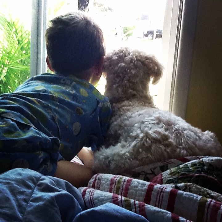 Young boy looking out window with his dog beside him